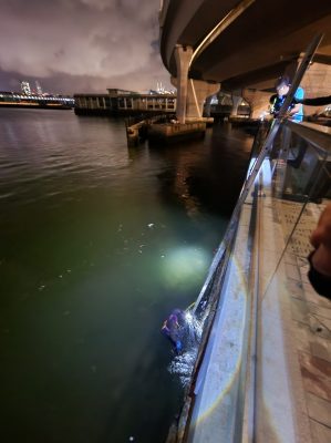 觀塘污水廠_1